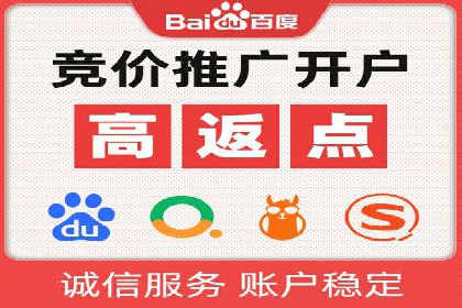 SEM服务公司助力品牌崛起案例